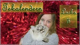 Fluffiga Katter || Tekalendern 2018 - Lucka 5