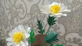 Салафан қогоздан ажойиб рамашка гул,,рамашка из пакетов,,salafan paketdan gyl yasash,,