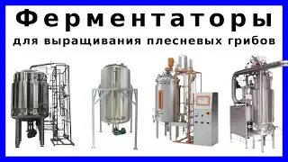 Ферментаторы (плесневых грибов): устройство, принцип действия, технические характеристики