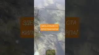 Бассейн с карпами!