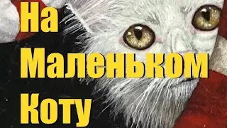 «На маленьком коту» песня кота Мурзика на музыку Ю.Лозы 