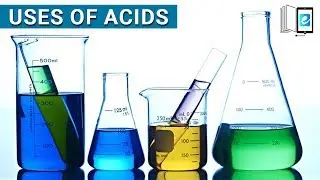Uses of some common Acids in Daily life | Oxford Secondary Science | elearn k12
