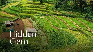 Vattavada, a hidden gem in Munnar | Kerala Tourism