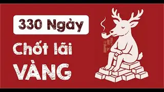 330 ngày chốt lãi vàng và 03 kinh nghiệm đúc kết - Code2trade