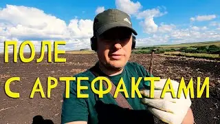 Поле с находками