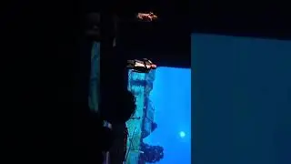 гр. Садко Бардин читает стихотворение Есенина и поют акапелло на стихи Есенина Капли