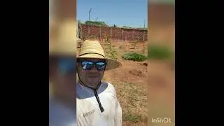 #inShot