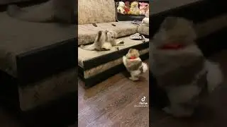 В что нападаешь на меня чтоли?