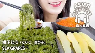 【咀嚼音】海ぶどう(とびこ・数の子)【ASMR】SEA GRAPES (Tobiko,Herring roe) (Eating sounds)