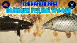 РУССКАЯ РЫБАЛКА 4 (РР4) - НЕ ПОЙМАЕМ РЕДКИЙ ТРОФЕЙ. РЫБАЛКА с Leonardo