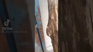 Школьник заходит в сарай а там "мотоциклы" )))Осторожно МАТ!