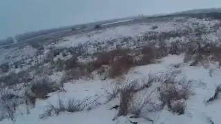 Охота  на зайца.  2/01/2017 Hunting hare.