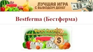 Игра Бестферма