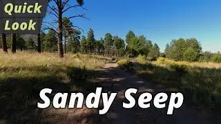 Quick Look: Sandy Seep Trail Hike - Flagstaff, Arizona
