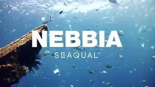 NEBBIA FITNESS x CLEAN THE OCEAN