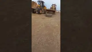 10 ноября 2023 г.
