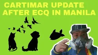 Cartimar Update 2020 After Lockdown