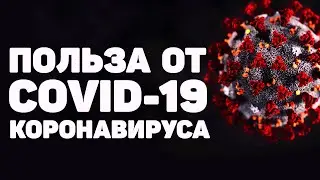 ПЛЮСЫ КАРАНТИНА (Covid-19) [апвоут] #StayHome