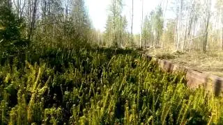 Смотреть всем кто любит природу.