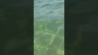 Море снаружи и внутри 30 августа 2024 г.
