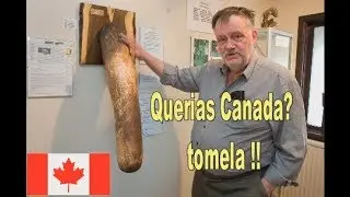 ¿Quieres ser reclutado para trabajar en Canadá?  VE ESTE VIDEO