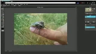 Pixlr Adjusting Image and Canvas Size