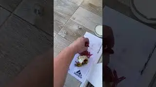 Приручаем кошку. День 15