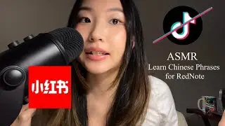 [ASMR] Basic Chinese Phrases to Help TikTok Refugees Navigate RedNote📱