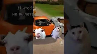 Моя группа vk.com/thesimshotdate 