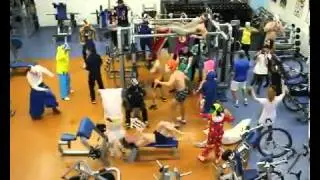 Tetra Harlem Shake