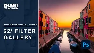 Photoshop Essential Training 22  Filter Gallery