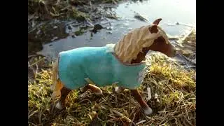 Model Horse Blanket