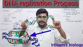 DNA replication || DNA replication process class 12 || by irtisams biology