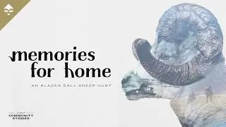 Memories for Home - An Alaskan Range Dall Sheep Hunt