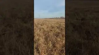 Обход места под будущую ферму.