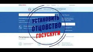 Как установить отцовство через госуслуги –инструкция