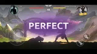 shadowfightshaded_драка_🤫