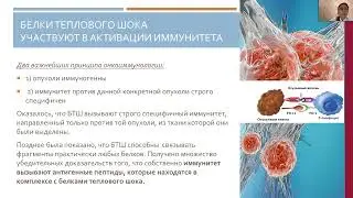 Болотина Е.В. — Белки теплового шока  их роль в норме и патологии