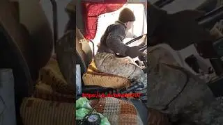Димас КАМАЗ