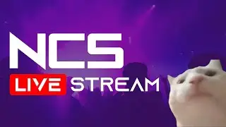 🎶 NCS Livestream #15 🎧 [Drum & Bass]