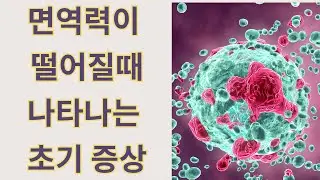 면역력이 떨어지기 시작할 때 나타나는 증상들 sign of weak immune system