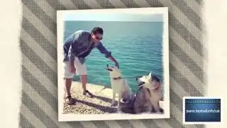 оригинальные джинсы фирмы Faconnable