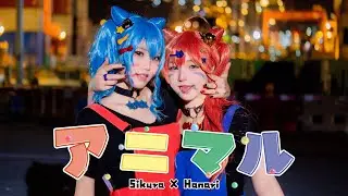 【HanarixSikura】アニマル 星街すいせいXさくらみこ Ver.【踊ってみた】