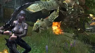 Skyrim Evolution 2.4-
