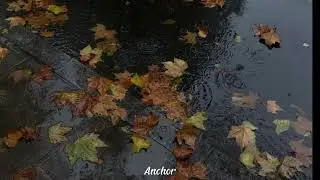 a playlist for the rainy day | 🌧☔️