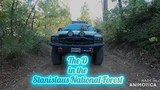 Dodge Durango in Stanislaus National Forest