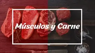 Los músculos y la carne🐷🐮🥩