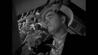 Desire - a film by Schnefsky & Lorna Pollock