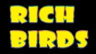 rich birds