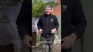 Just Dream Garden Makeover 